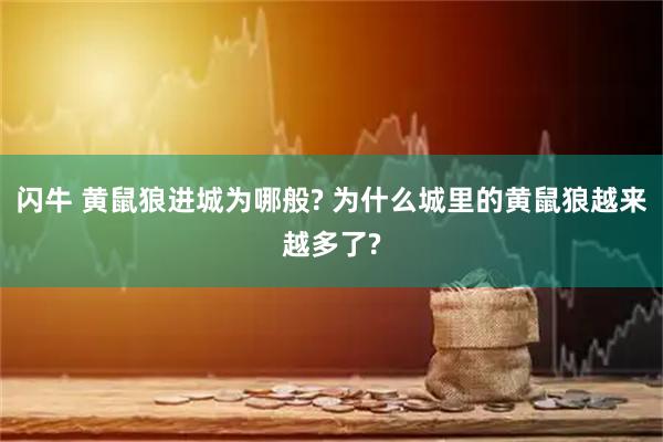 闪牛 黄鼠狼进城为哪般? 为什么城里的黄鼠狼越来越多了?