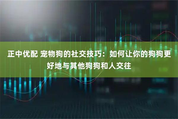正中优配 宠物狗的社交技巧：如何让你的狗狗更好地与其他狗狗和人交往